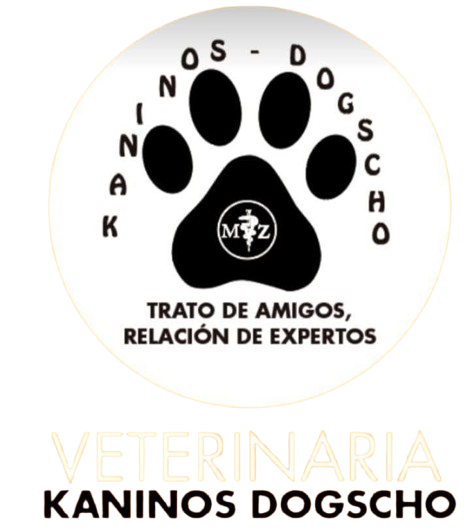 Kaninos Dogscho